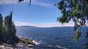 ./images/koeye/fitz-hugh/20260705/fitz-hugh20260705_141502M.jpg