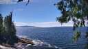 ./images/koeye/fitz-hugh/20260705/fitz-hugh20260705_142501M.jpg