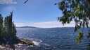 ./images/koeye/fitz-hugh/20260705/fitz-hugh20260705_143001M.jpg