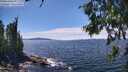 ./images/koeye/fitz-hugh/20260705/fitz-hugh20260705_144002M.jpg