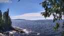 ./images/koeye/fitz-hugh/20260705/fitz-hugh20260705_144501M.jpg
