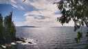 ./images/koeye/fitz-hugh/20260705/fitz-hugh20260705_161001M.jpg