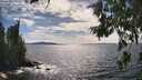 ./images/koeye/fitz-hugh/20260705/fitz-hugh20260705_162501M.jpg