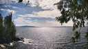 ./images/koeye/fitz-hugh/20260705/fitz-hugh20260705_163001M.jpg