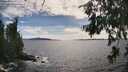 ./images/koeye/fitz-hugh/20260705/fitz-hugh20260705_164501M.jpg