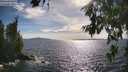 ./images/koeye/fitz-hugh/20260705/fitz-hugh20260705_173002M.jpg