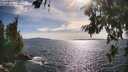 ./images/koeye/fitz-hugh/20260705/fitz-hugh20260705_173501M.jpg