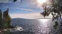 ./images/koeye/fitz-hugh/20260705/fitz-hugh20260705_181002M.jpg
