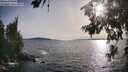 ./images/koeye/fitz-hugh/20260705/fitz-hugh20260705_185501M.jpg