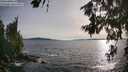 ./images/koeye/fitz-hugh/20260705/fitz-hugh20260705_191501M.jpg