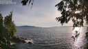 ./images/koeye/fitz-hugh/20260705/fitz-hugh20260705_194502M.jpg
