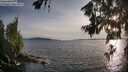 ./images/koeye/fitz-hugh/20260705/fitz-hugh20260705_195501M.jpg