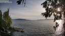 ./images/koeye/fitz-hugh/20260705/fitz-hugh20260705_200001M.jpg