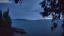 ./images/koeye/fitz-hugh/20260705/fitz-hugh20260705_223001M.jpg