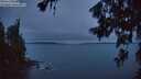 ./images/koeye/fitz-hugh/20260706/fitz-hugh20260706_044501M.jpg