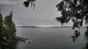 ./images/koeye/fitz-hugh/20260706/fitz-hugh20260706_053001M.jpg