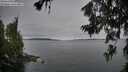 ./images/koeye/fitz-hugh/20260706/fitz-hugh20260706_053501M.jpg