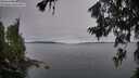 ./images/koeye/fitz-hugh/20260706/fitz-hugh20260706_054001M.jpg