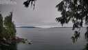 ./images/koeye/fitz-hugh/20260706/fitz-hugh20260706_054501M.jpg