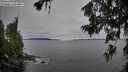 ./images/koeye/fitz-hugh/20260706/fitz-hugh20260706_060002M.jpg