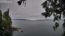 ./images/koeye/fitz-hugh/20260706/fitz-hugh20260706_061001M.jpg
