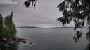 ./images/koeye/fitz-hugh/20260706/fitz-hugh20260706_062002M.jpg