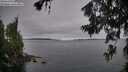./images/koeye/fitz-hugh/20260706/fitz-hugh20260706_062501M.jpg