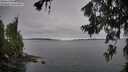 ./images/koeye/fitz-hugh/20260706/fitz-hugh20260706_063002M.jpg