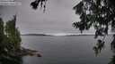 ./images/koeye/fitz-hugh/20260706/fitz-hugh20260706_070001M.jpg