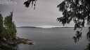 ./images/koeye/fitz-hugh/20260706/fitz-hugh20260706_072001M.jpg