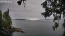 ./images/koeye/fitz-hugh/20260706/fitz-hugh20260706_074502M.jpg