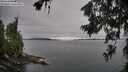 ./images/koeye/fitz-hugh/20260706/fitz-hugh20260706_075001M.jpg