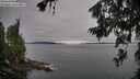 ./images/koeye/fitz-hugh/20260706/fitz-hugh20260706_075501M.jpg