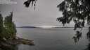 ./images/koeye/fitz-hugh/20260706/fitz-hugh20260706_080001M.jpg