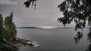 ./images/koeye/fitz-hugh/20260706/fitz-hugh20260706_080501M.jpg