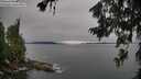 ./images/koeye/fitz-hugh/20260706/fitz-hugh20260706_081502M.jpg