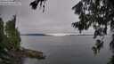 ./images/koeye/fitz-hugh/20260706/fitz-hugh20260706_085001M.jpg