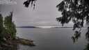 ./images/koeye/fitz-hugh/20260706/fitz-hugh20260706_085501M.jpg