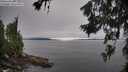 ./images/koeye/fitz-hugh/20260706/fitz-hugh20260706_092501M.jpg
