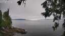 ./images/koeye/fitz-hugh/20260706/fitz-hugh20260706_094002M.jpg