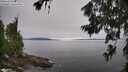 ./images/koeye/fitz-hugh/20260706/fitz-hugh20260706_094501M.jpg