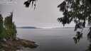 ./images/koeye/fitz-hugh/20260706/fitz-hugh20260706_095001M.jpg