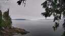 ./images/koeye/fitz-hugh/20260706/fitz-hugh20260706_100501M.jpg