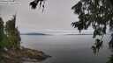 ./images/koeye/fitz-hugh/20260706/fitz-hugh20260706_101501M.jpg