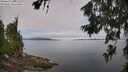 ./images/koeye/fitz-hugh/20260706/fitz-hugh20260706_102501M.jpg