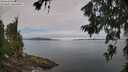 ./images/koeye/fitz-hugh/20260706/fitz-hugh20260706_103001M.jpg