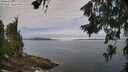 ./images/koeye/fitz-hugh/20260706/fitz-hugh20260706_103501M.jpg