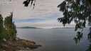 ./images/koeye/fitz-hugh/20260706/fitz-hugh20260706_104001M.jpg