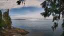 ./images/koeye/fitz-hugh/20260706/fitz-hugh20260706_110501M.jpg