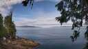 ./images/koeye/fitz-hugh/20260706/fitz-hugh20260706_111501M.jpg